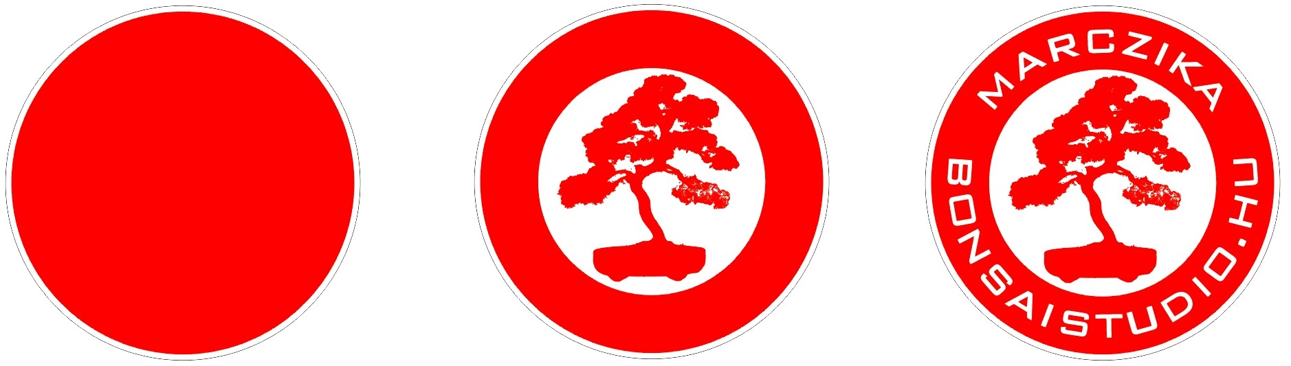 marczika bonsai studio